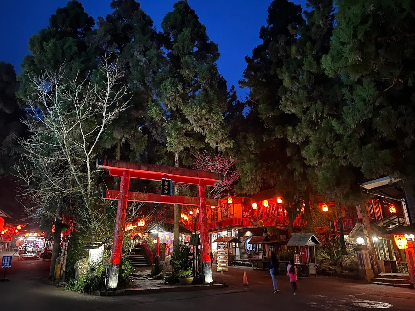 溪頭自然教育園區一日遊攻略｜森林步道、神木秘境、美食住宿一次掌握