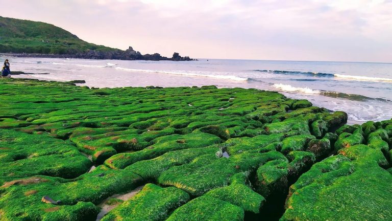 🌿 老梅沙灘與台灣海岸秘境特輯｜綠石槽奇景、浮潛導覽、日出攝影，走訪五大人氣濱海景點