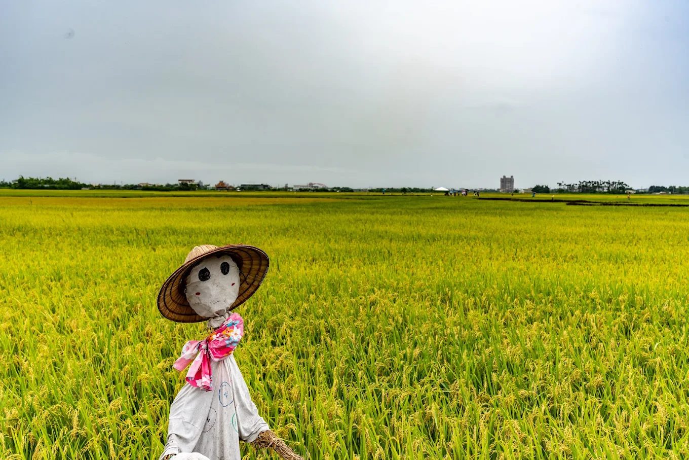 探索宜蘭迷人5大美景點｜猴洞坑瀑布、三奇美徑完全指南