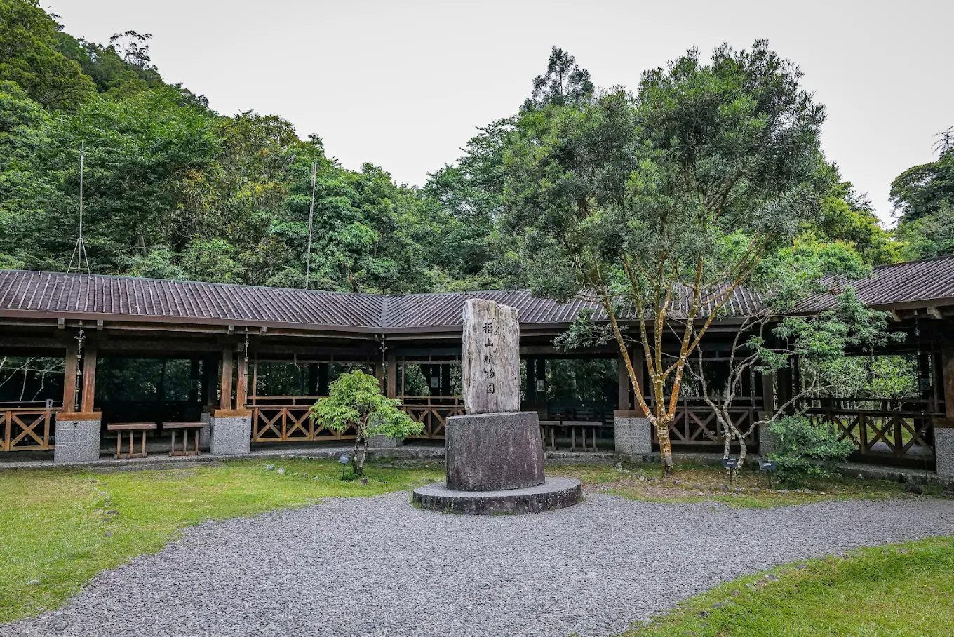探索宜蘭迷人5大美景點｜猴洞坑瀑布、三奇美徑完全指南