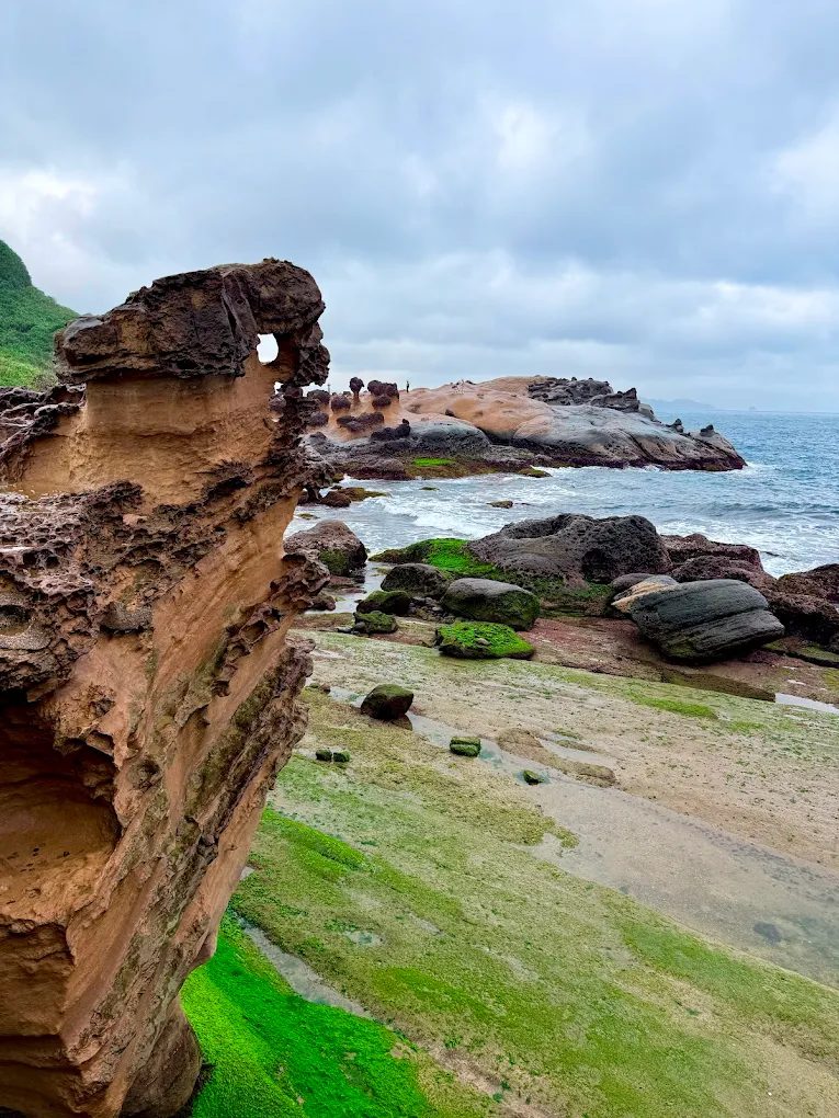 女王頭、燈塔、海洋世界一次玩！野柳地質公園人氣景點全攻略（含交通與拍照建議）