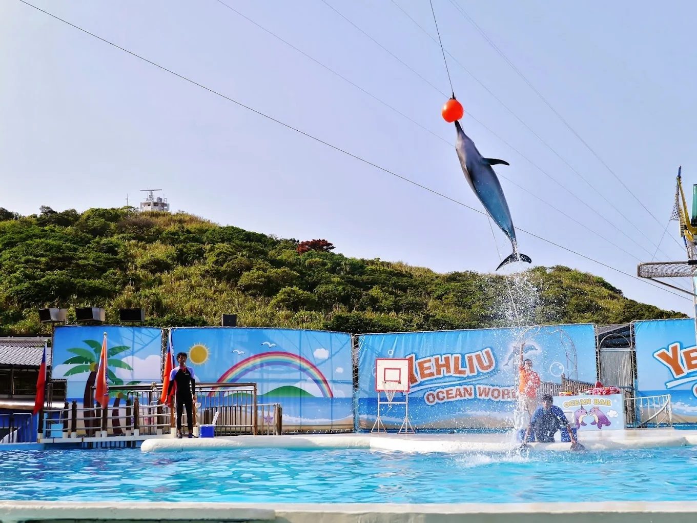 女王頭、燈塔、海洋世界一次玩！野柳地質公園人氣景點全攻略（含交通與拍照建議）