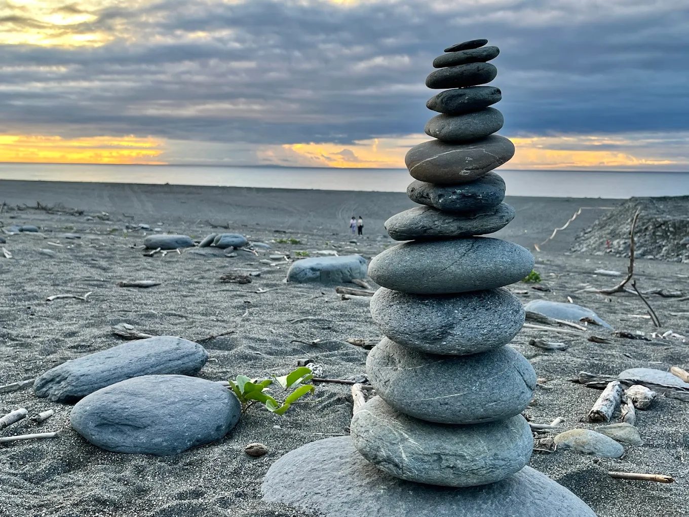 【2025金黃花海漫遊】台東金針花季全攻略｜金崙海灘、六十石山、天空之鏡一日行程提案