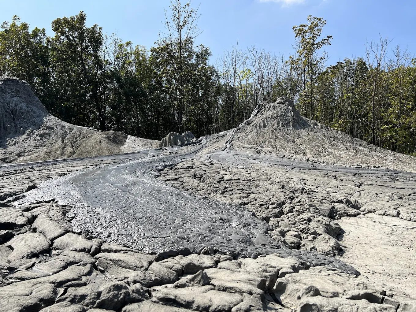 高雄日式景點：探訪千野村的最佳攻略