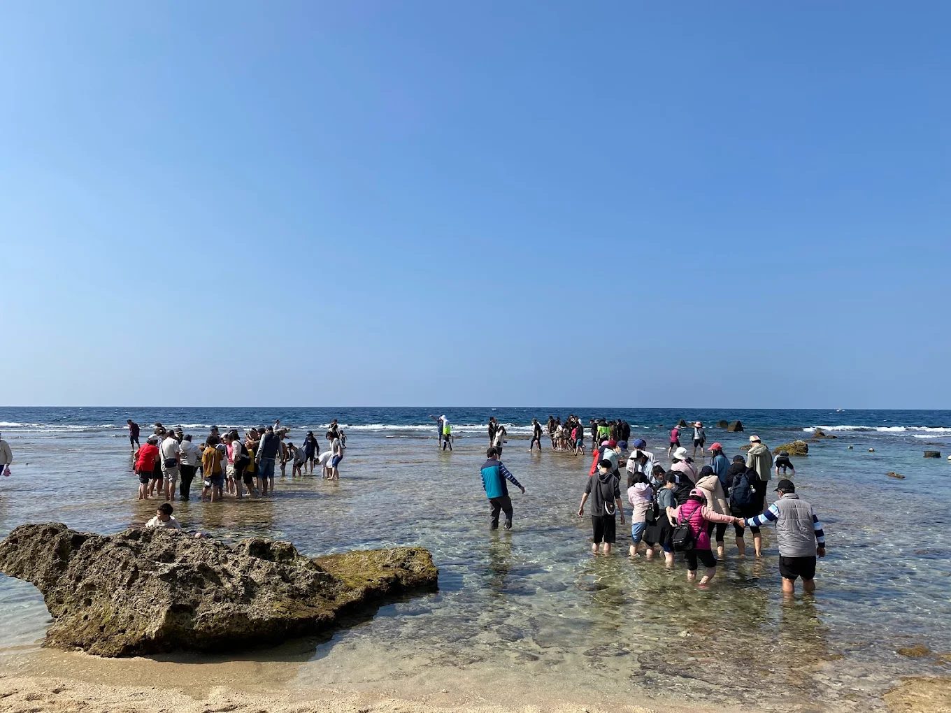 小琉球杉福潮間帶完整攻略｜觀光保育費、導覽資訊、注意事項一次看懂！