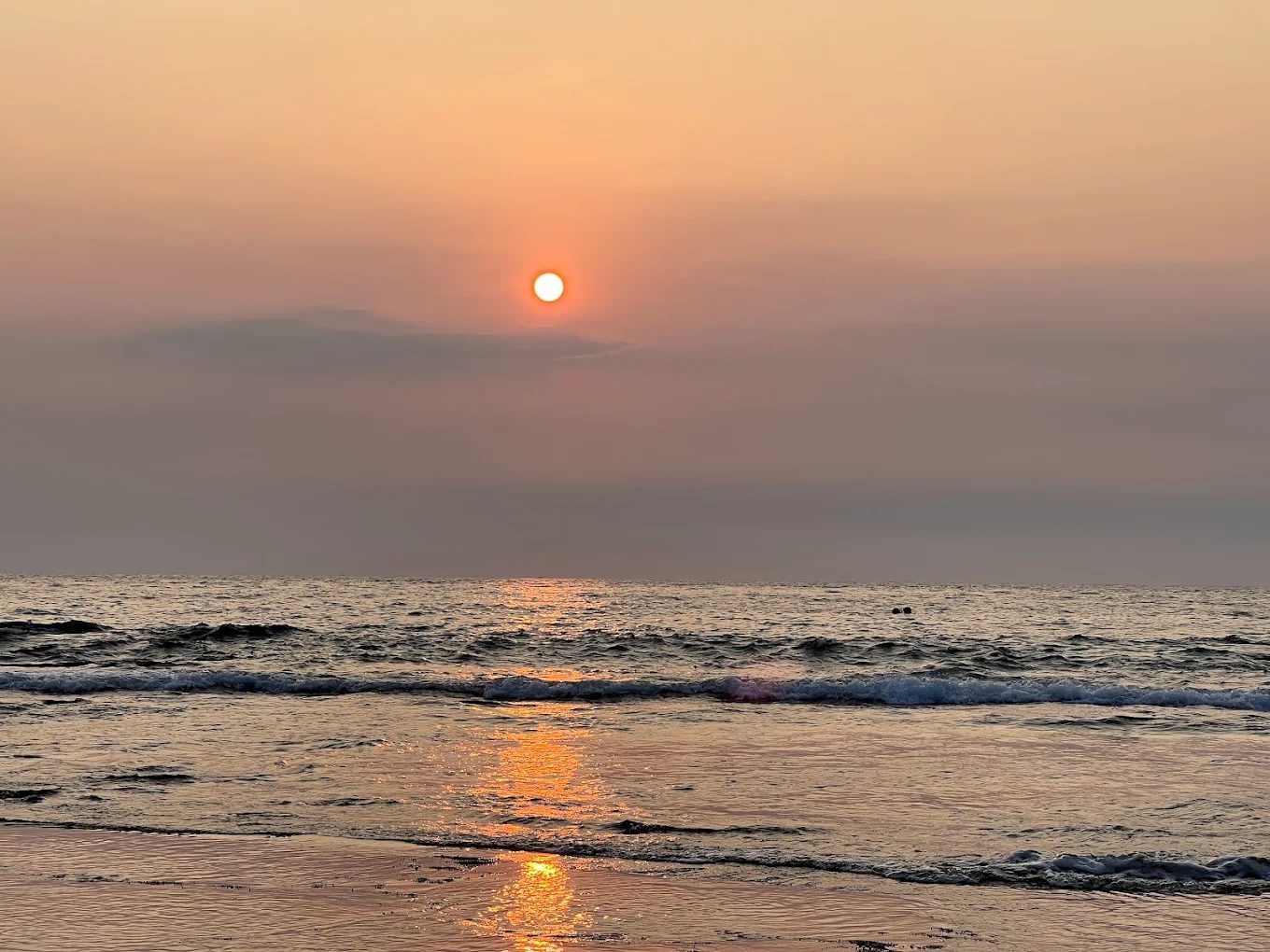 小琉球杉福潮間帶完整攻略|觀光保育費、導覽資訊、注意事項一次看懂!