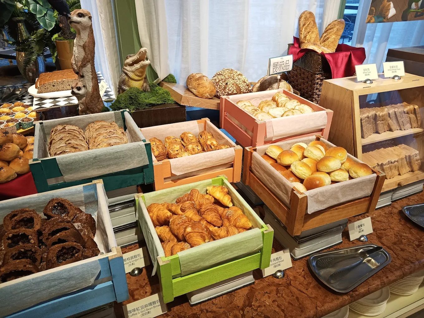 溪頭自然教育園區一日遊攻略｜森林步道、神木秘境、美食住宿一次掌握