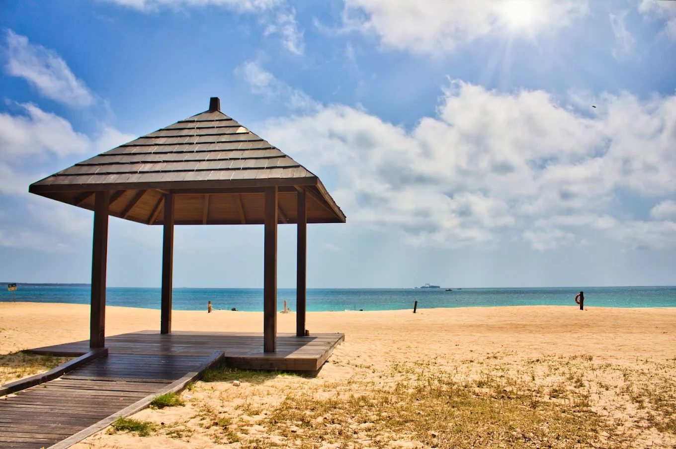 台北北部必訪景點推薦｜大安森林公園、象山步道到陽明山國家公園，一次看遍自然與文化魅力