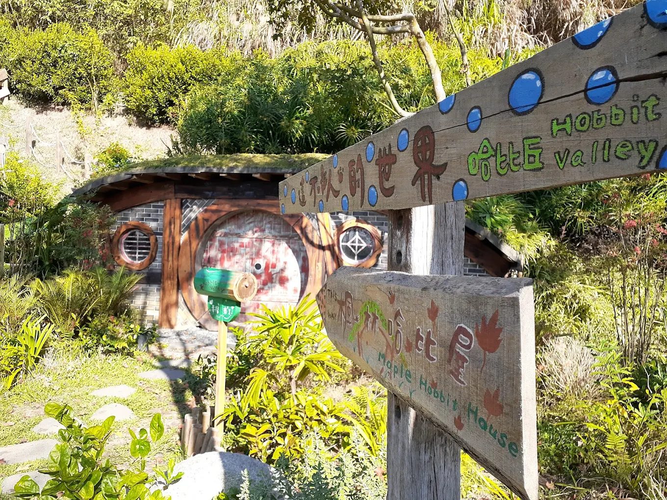 苗栗一日遊推薦|親子同樂、夢幻山谷與海岸風光一次滿足!