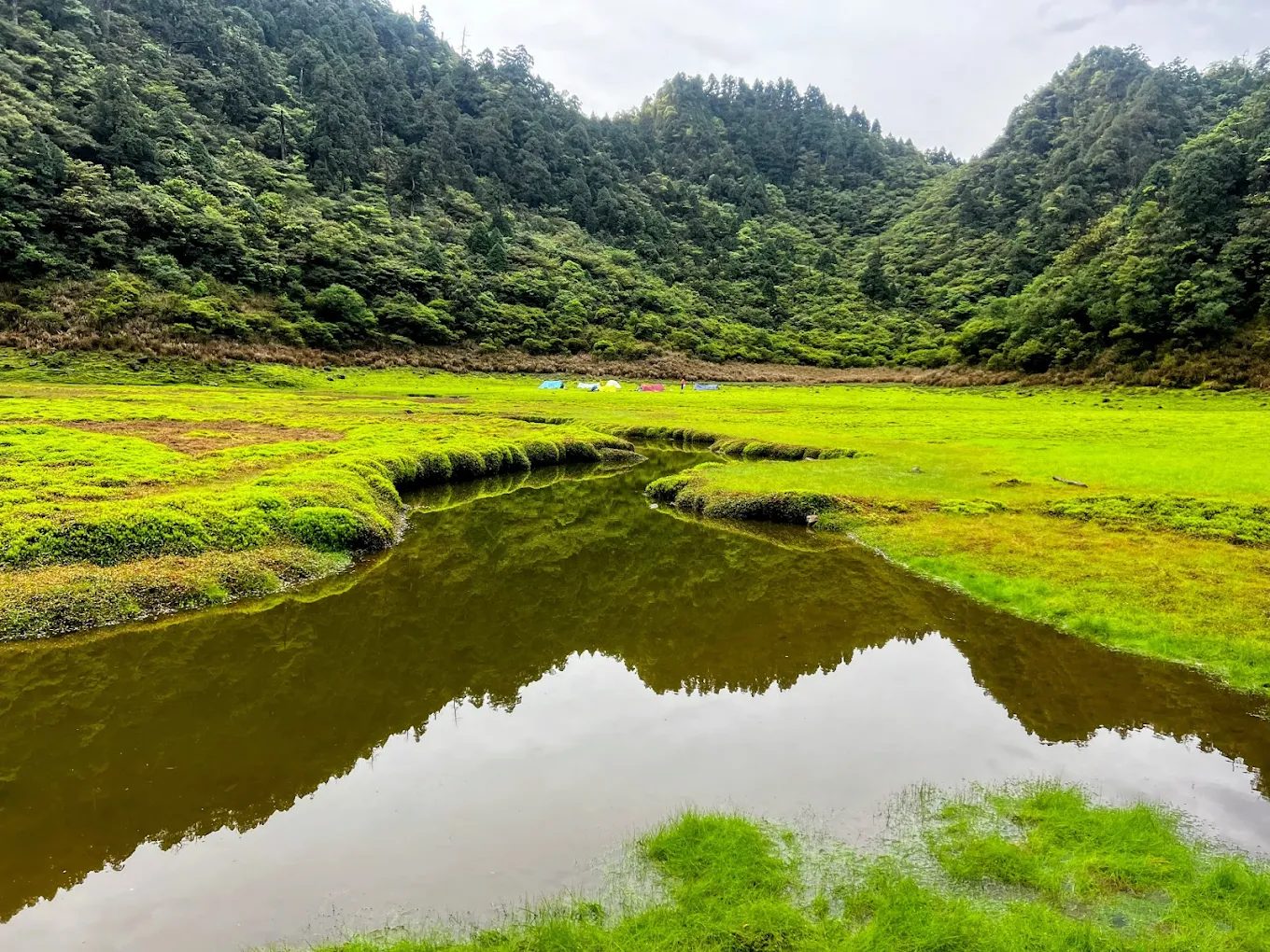 松羅湖登山全攻略：探索新北烏來秘境湖泊，體驗仙境健行之旅！
