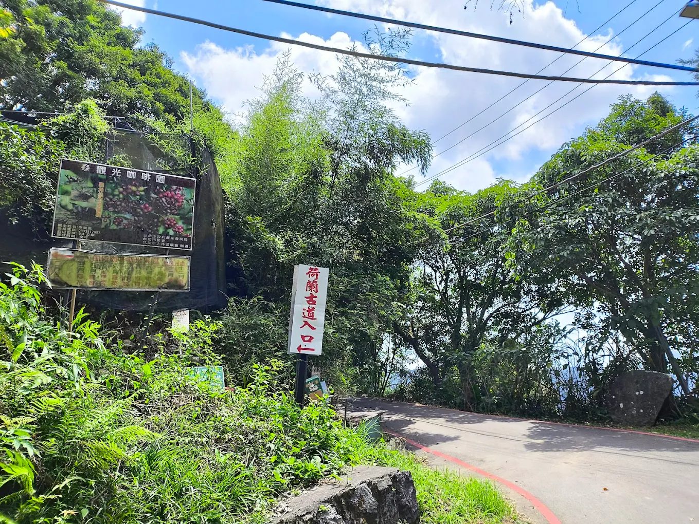 探索荷蘭古道：珍貴的自然美景與輕鬆登山之旅