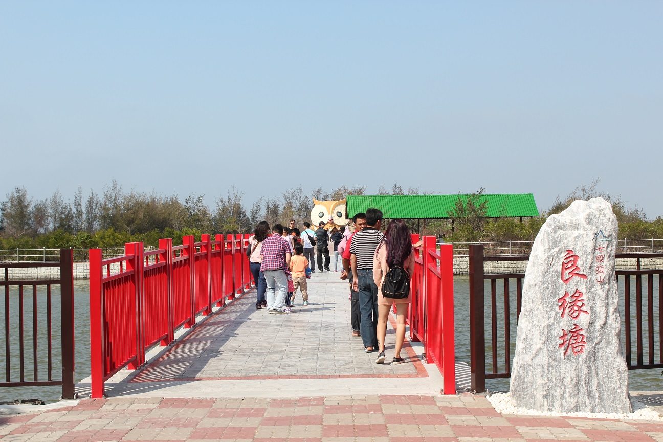 台南七股旅遊全攻略：濕地夕陽、鹽田美景與海味美食一次體驗！