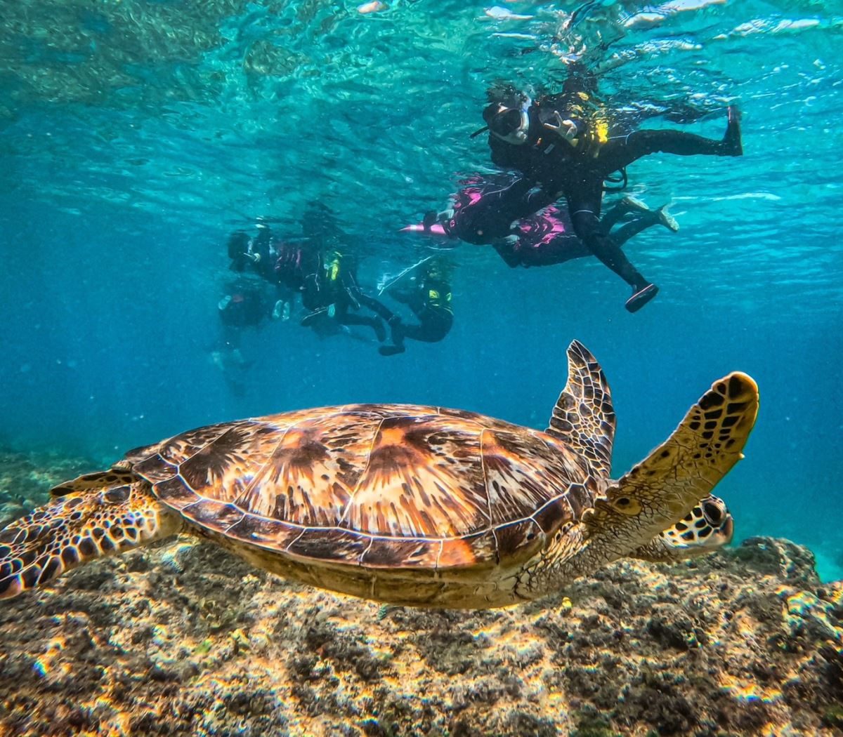 小琉球自由行全攻略:潛水、浮潛、餐廳、住宿一次看!