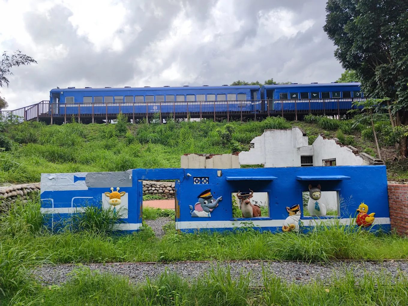 下淡水溪鐵橋（高屏舊鐵橋）一遊未盡：歷史、花海與生態全攻略 🌸