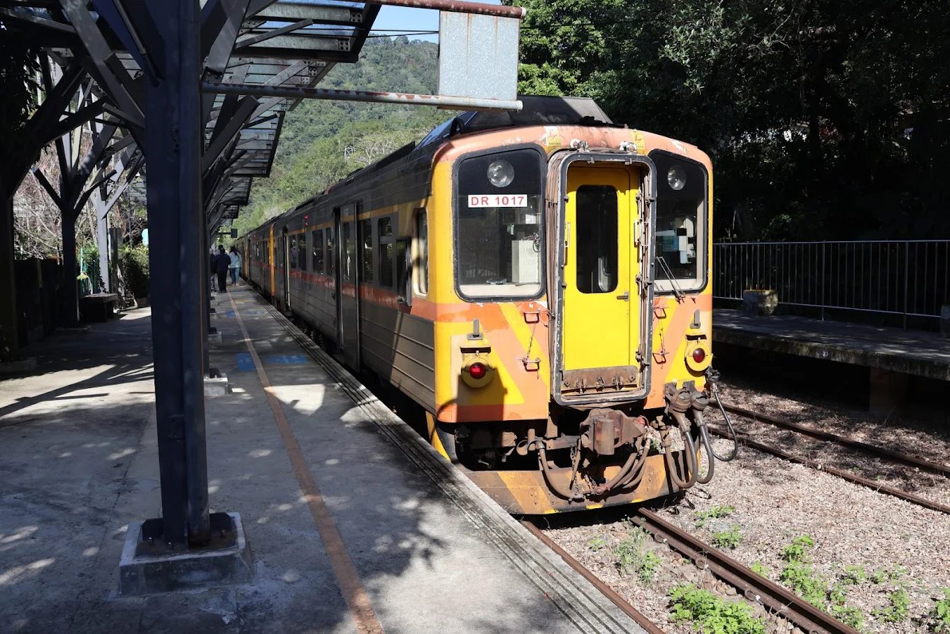 探險馬胎古道：完美的健行與自然體驗