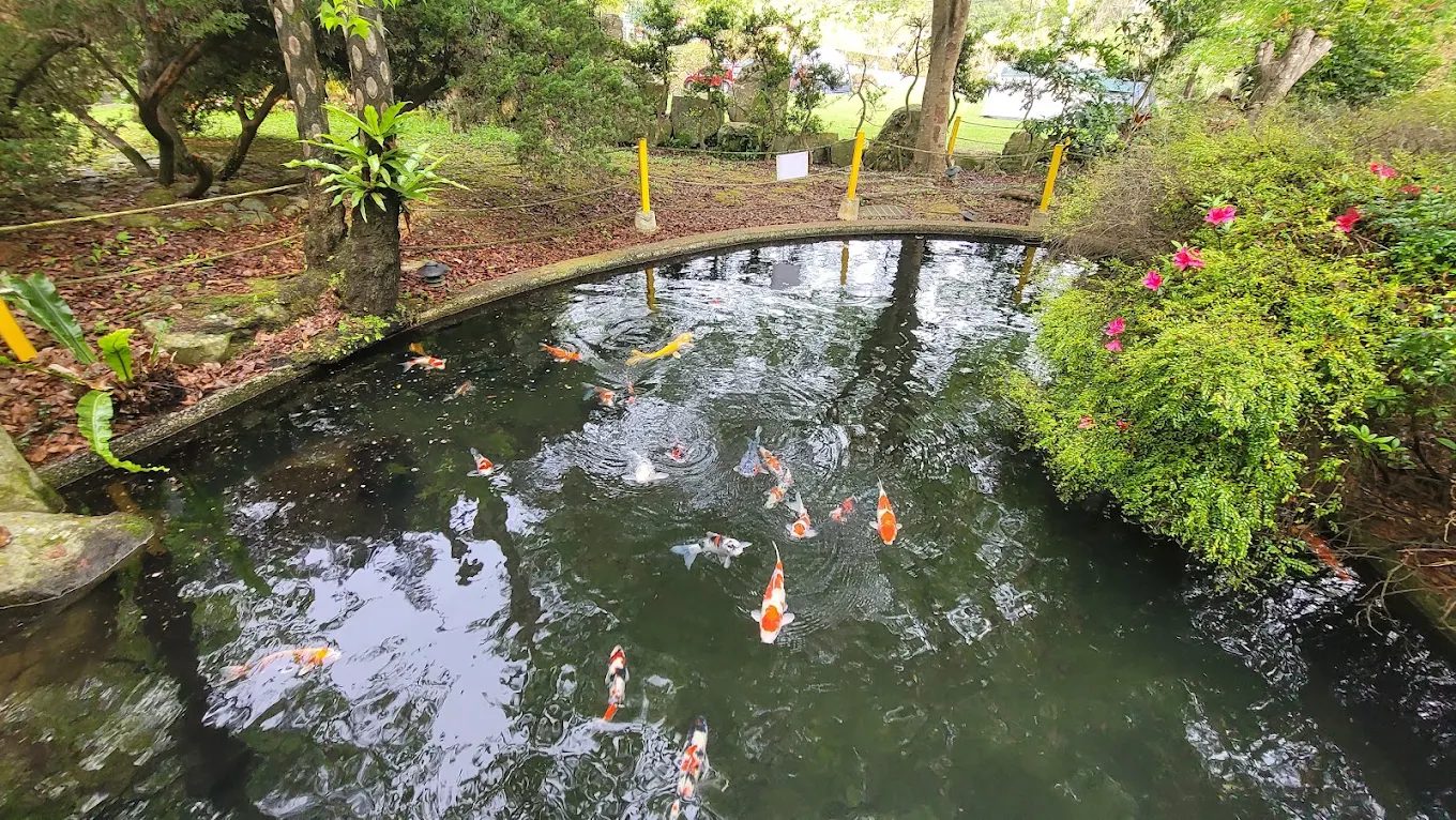 探險馬胎古道：完美的健行與自然體驗