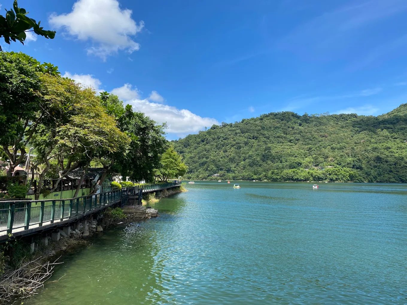 花蓮鯉魚潭的絕美旅遊攻略｜讓你輕鬆享受大自然的美好