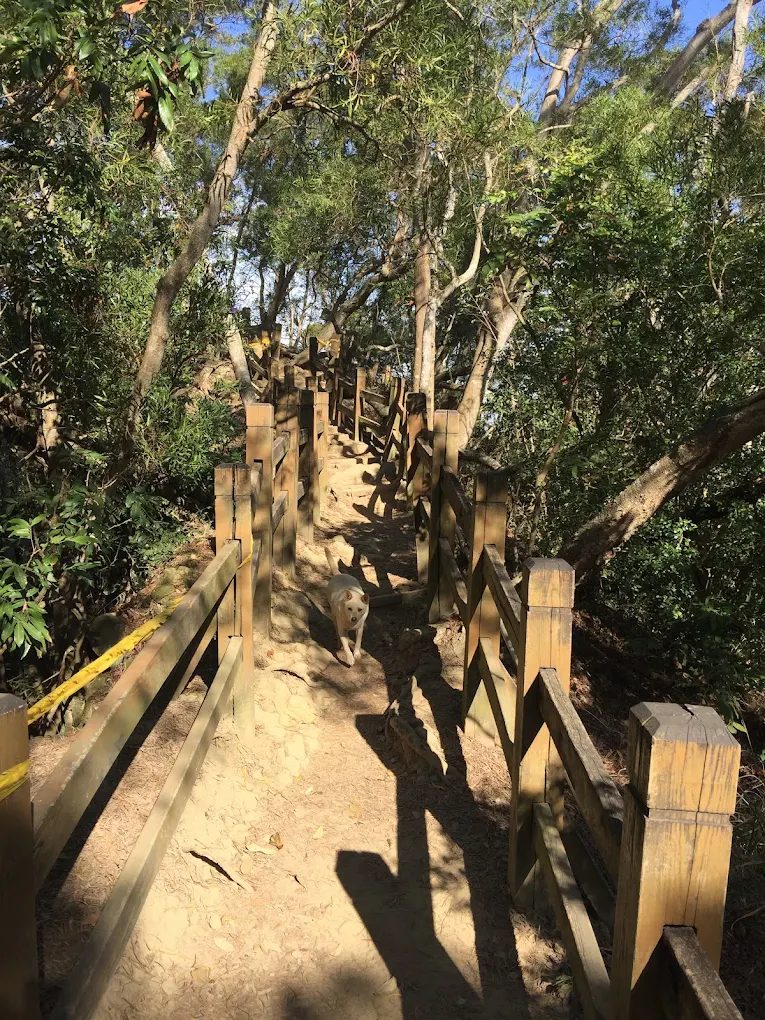 大坑步道｜你的登山健行最佳選擇