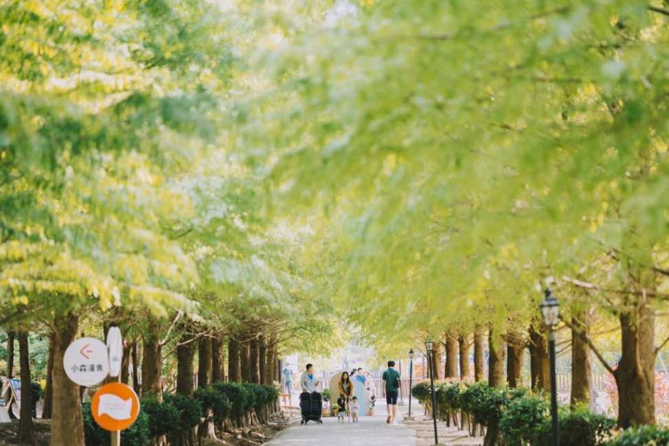 小森之歌：探索新竹的綠色交響曲