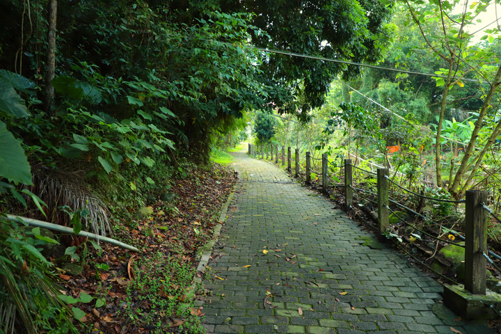 古坑旅遊：探索華山景點的五大必訪地