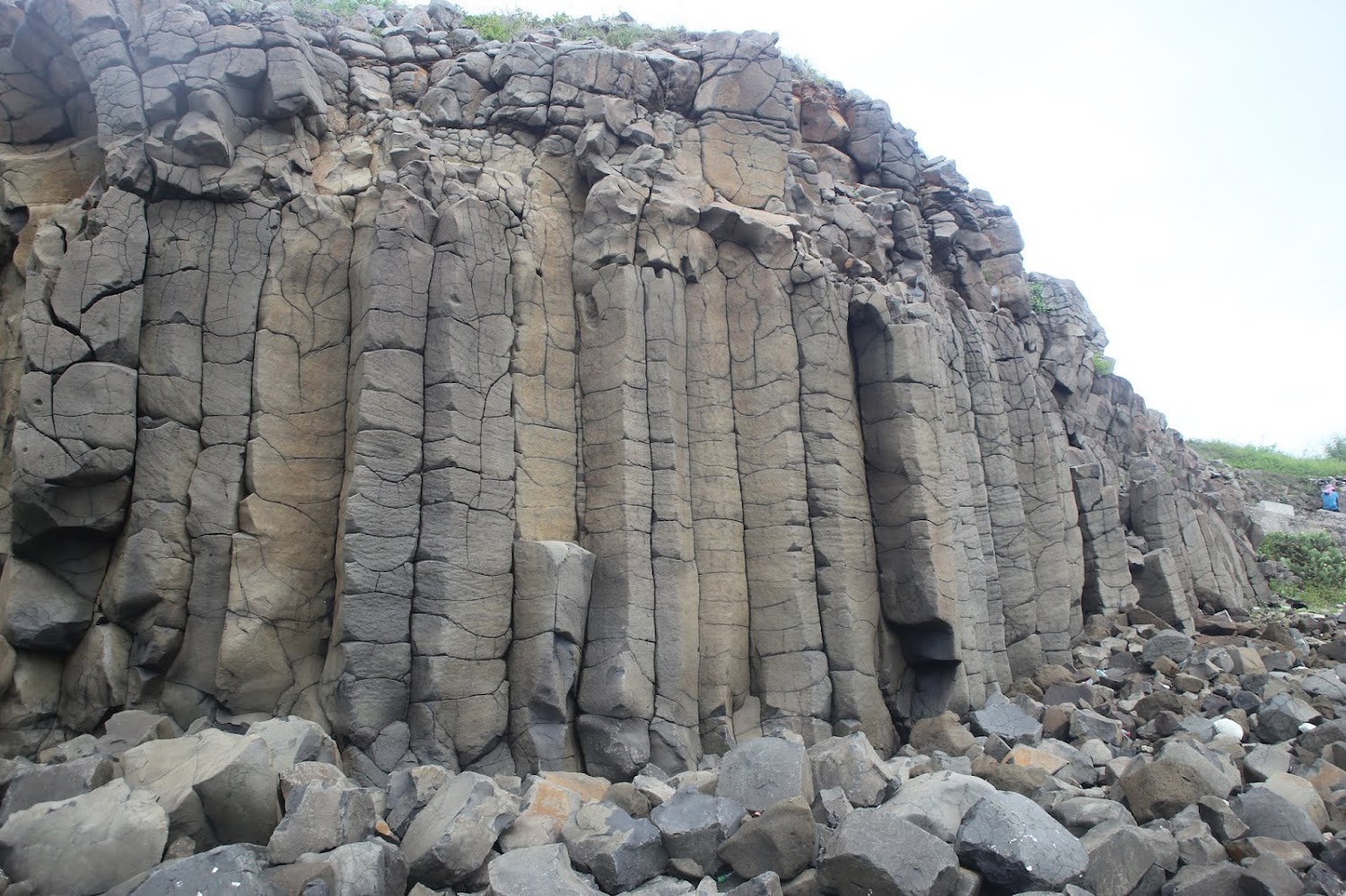大果葉柱狀玄武岩