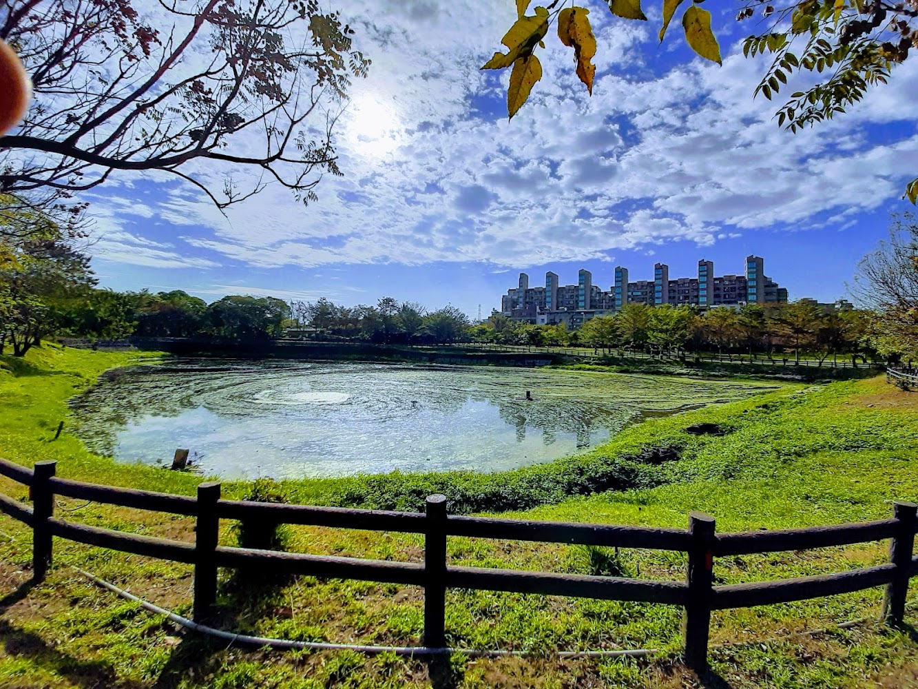 【2025嘉義戲水景點推薦】親子夏日清涼景點懶人包，免費玩水、河岸野餐一次搞定！