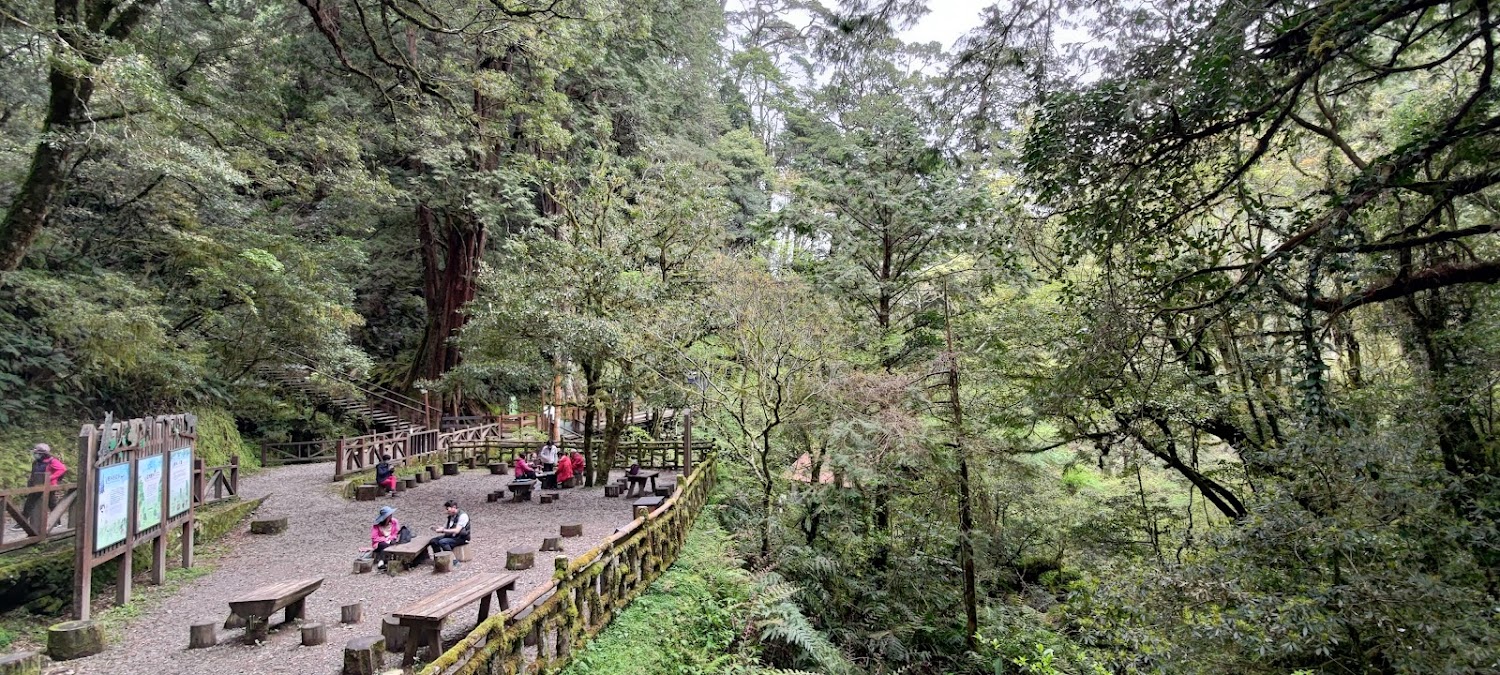 拉拉山神木群步道