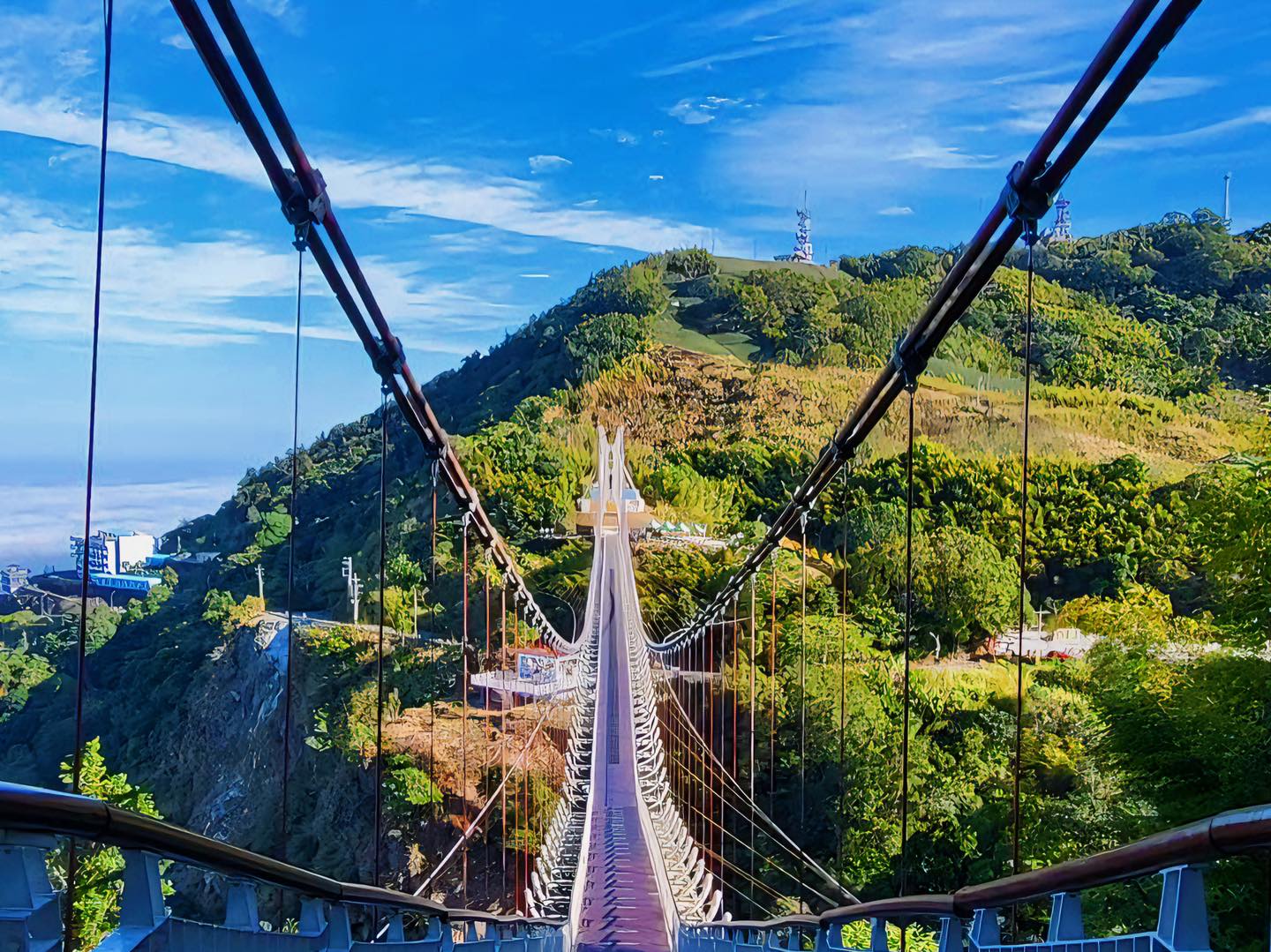 交通、住宿、餐食怎麼安排？嘉義親子行程這樣玩不踩雷