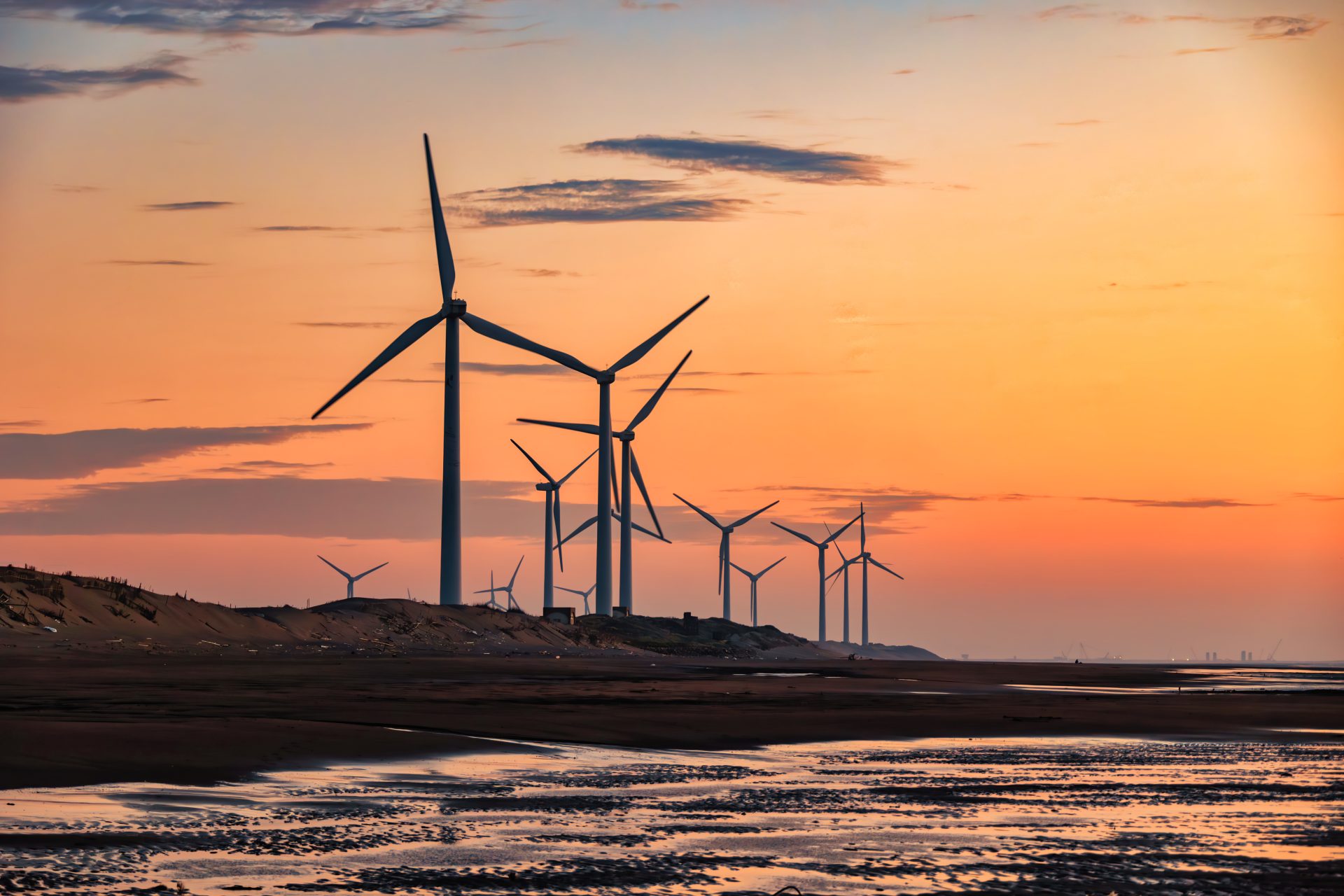觀音草漯沙丘的美麗秘境｜親子旅遊的理想選擇