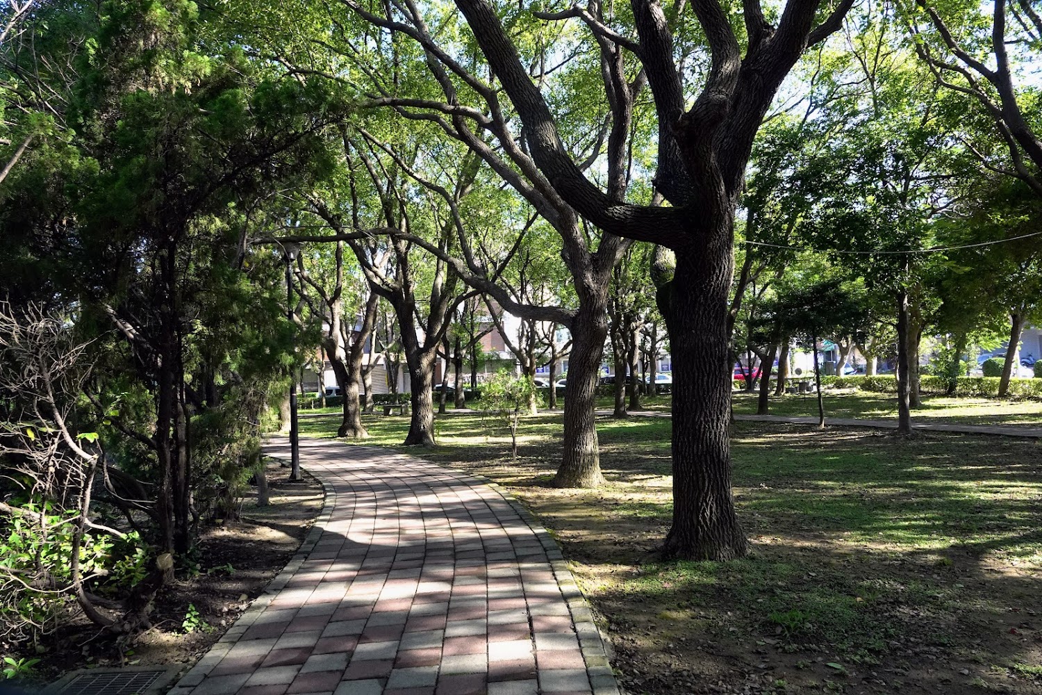 🚲 新豐一日遊推薦｜自然景點、海濱步道與親子放鬆提案