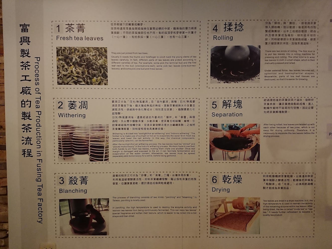 🍃走進富興老茶廠｜體驗百年台灣茶文化的深度之旅