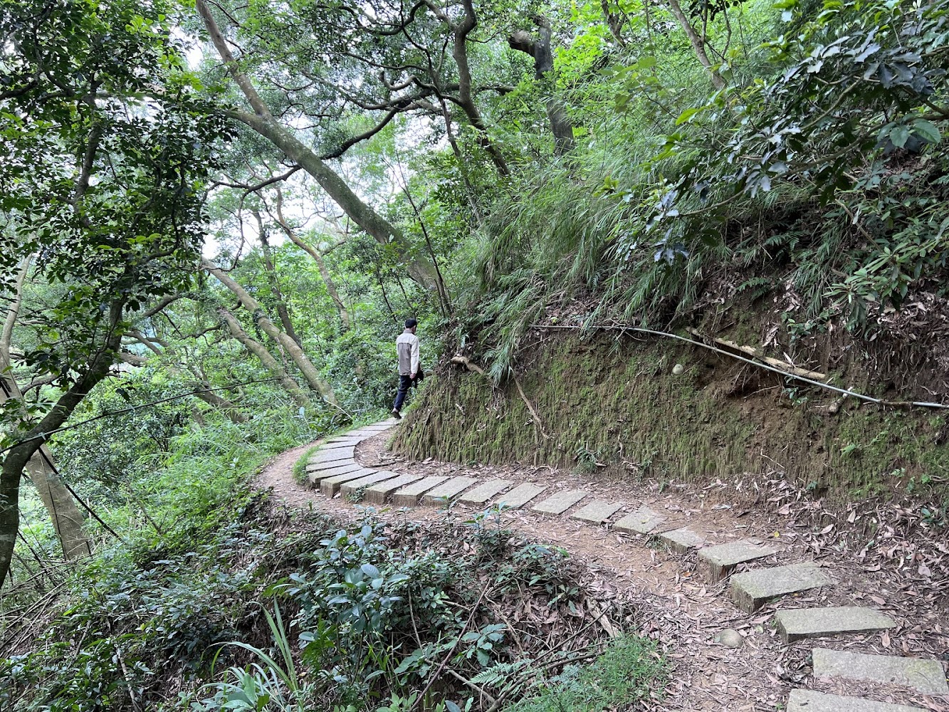 🌿【新埔旅遊全攻略】探索日圓公園、老街美食與登山步道,一日遊這樣玩最精彩!