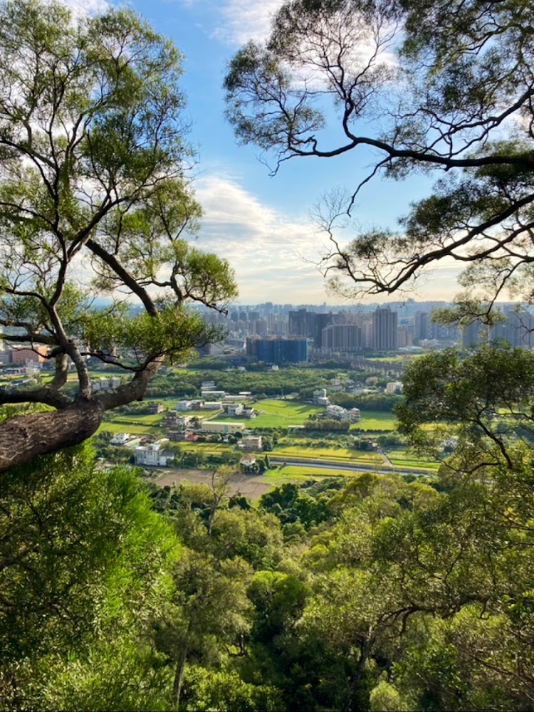 🌿【新埔旅遊全攻略】探索日圓公園、老街美食與登山步道,一日遊這樣玩最精彩!