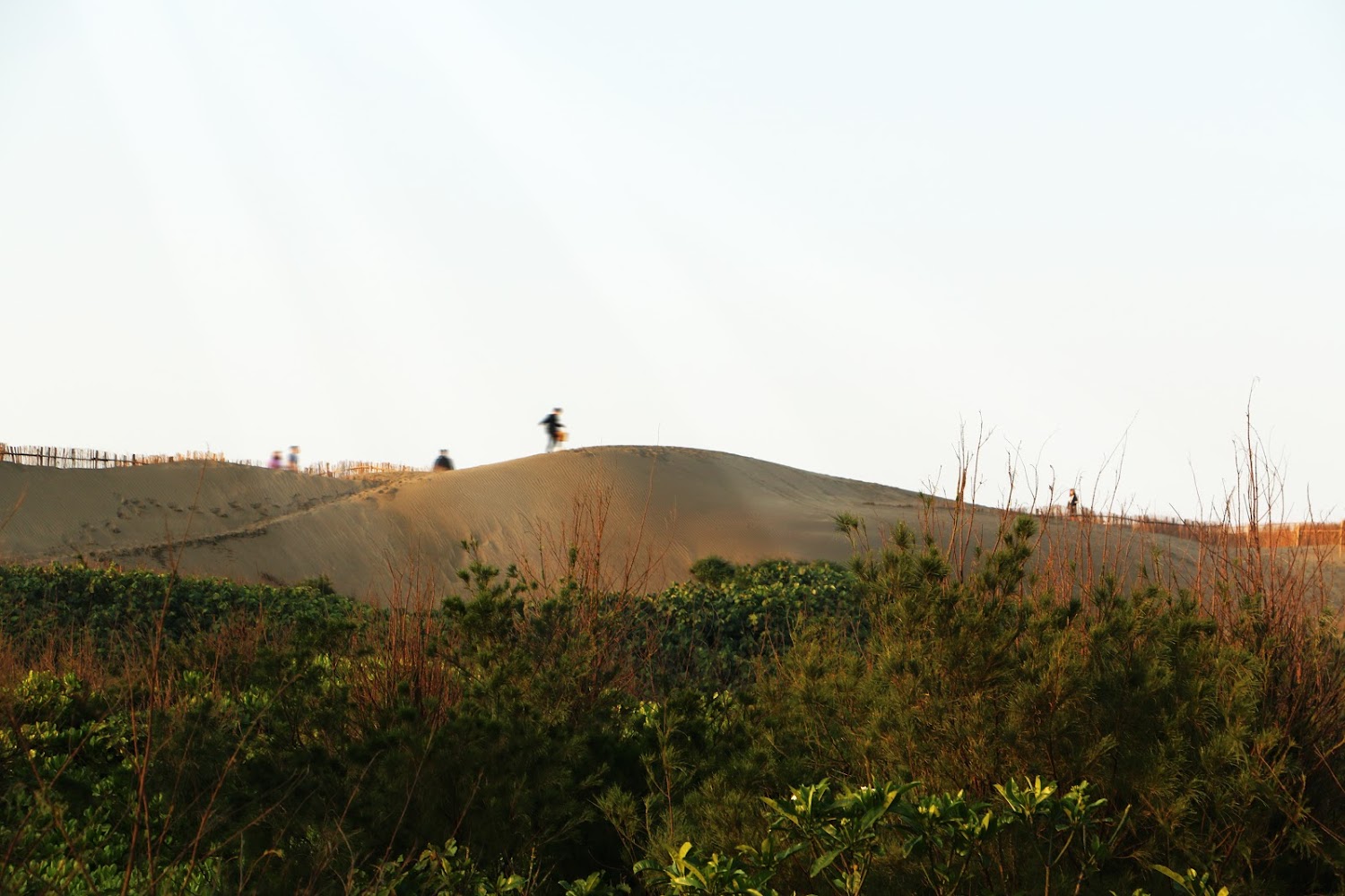 草漯沙丘地質公園 - 觀音白沙屯觀景步道