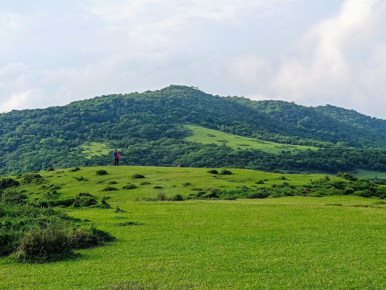 荷蘭古道怎麼玩？陽明山絕景步道推薦，一次走進台北的山林秘境