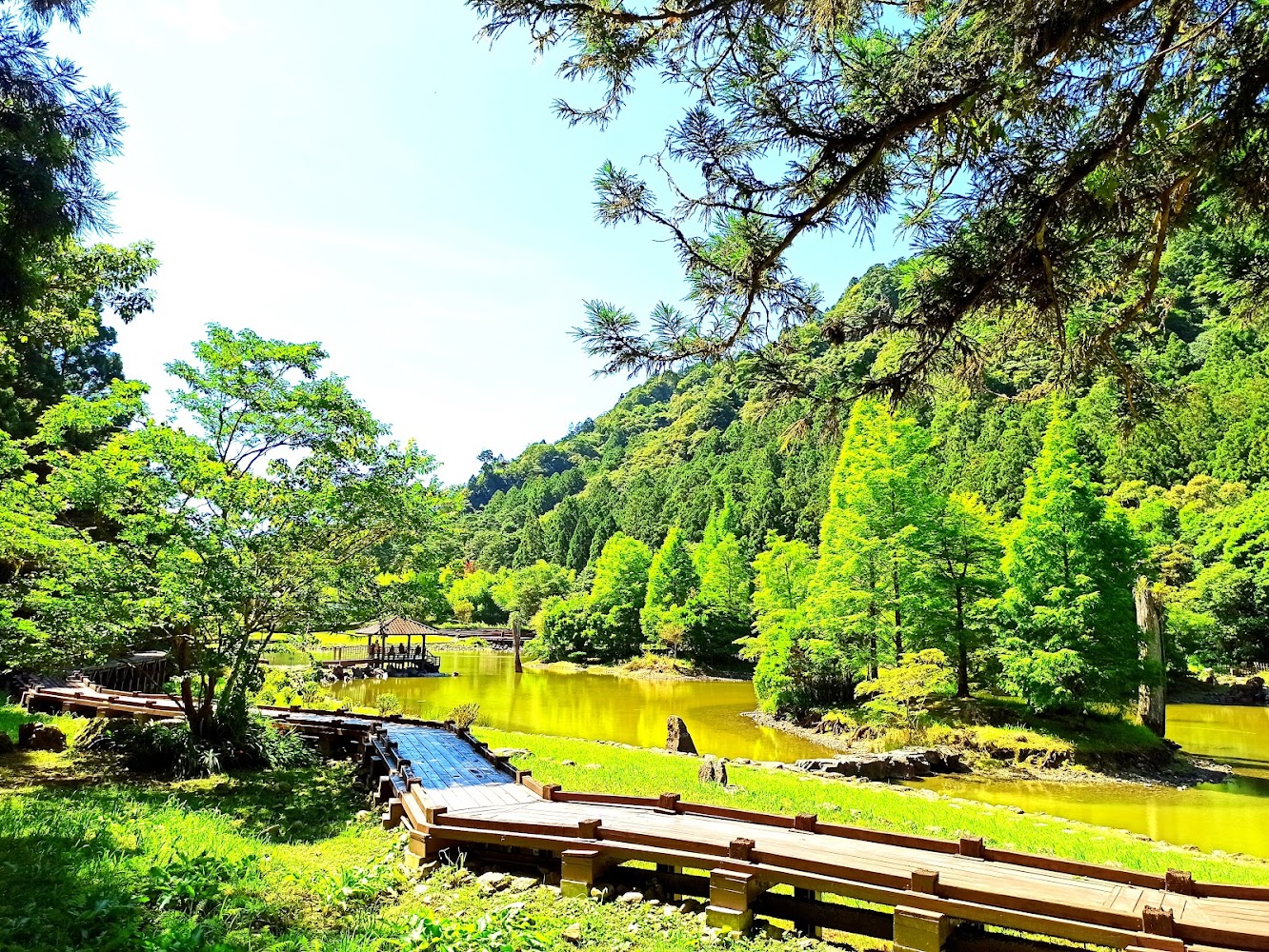 【2025最新】明池森林遊樂區全攻略｜森林系秘境一日遊、湖景步道、住宿交通一次看