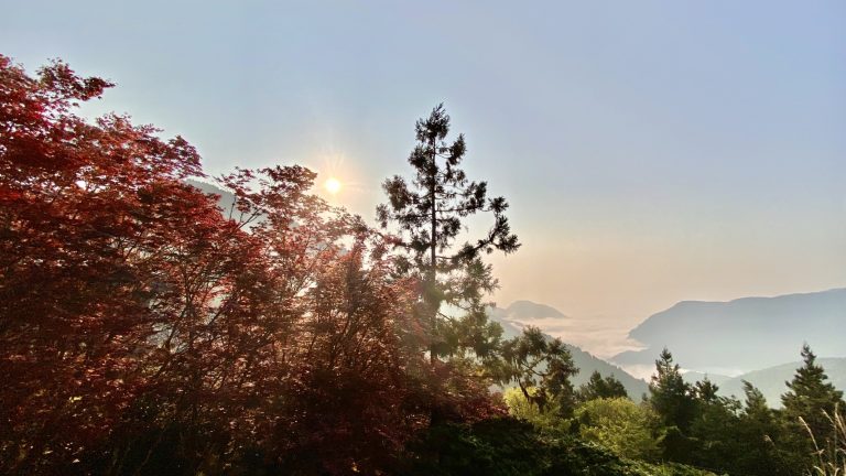 太平山紅葉的最佳賞楓時期與旅遊攻略
