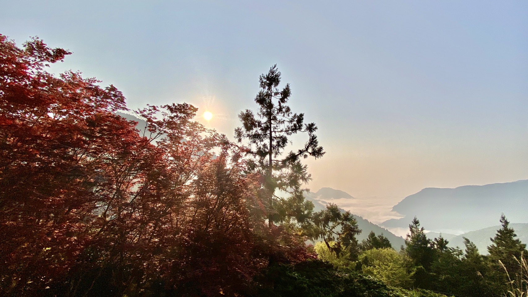 太平山紅葉的最佳賞楓時期與旅遊攻略