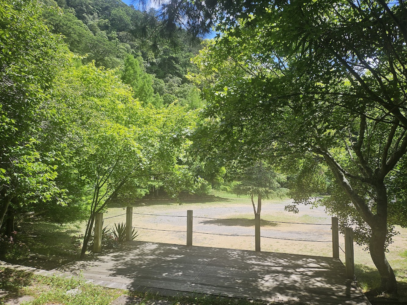 武陵農場的魅力:探索台灣最美的田園風光