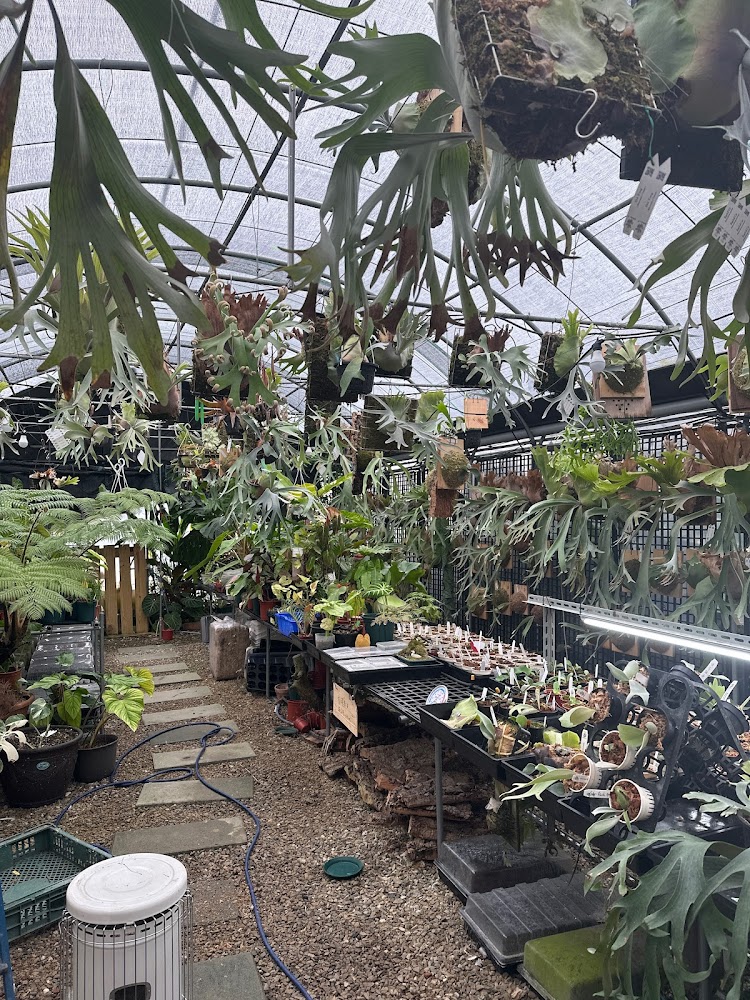 植物魔法：探索台灣絕美植物景點