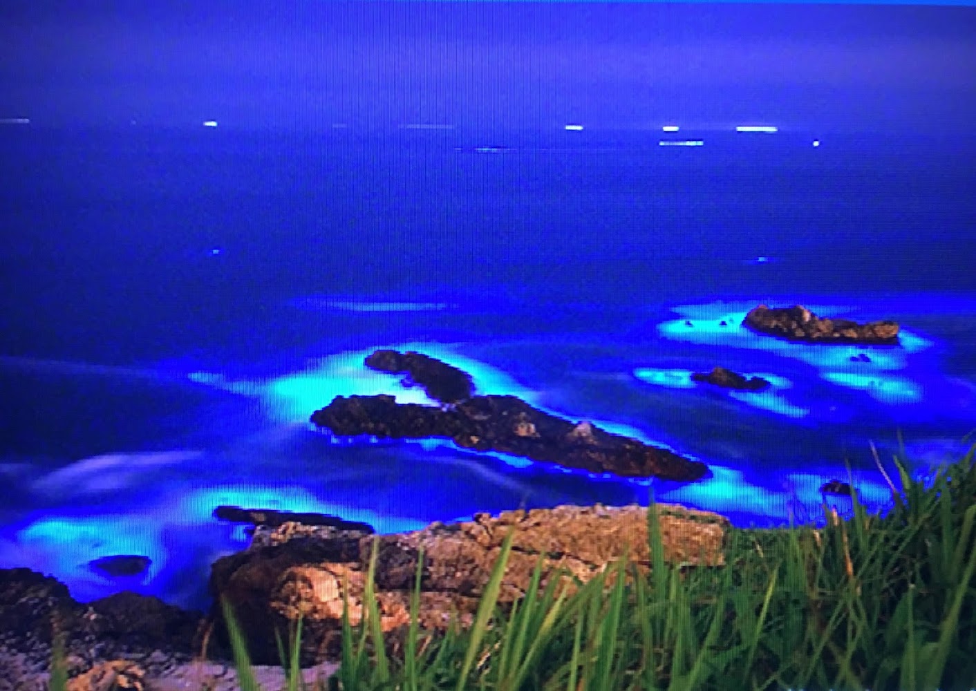 青鯤鯓漁港藍眼淚｜藍眼淚季節：如何在台灣欣賞這奇妙自然景觀