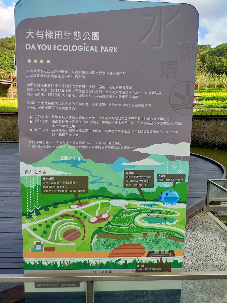 探索大有梯田生態公園：親子樂趣與挑戰的完美結合