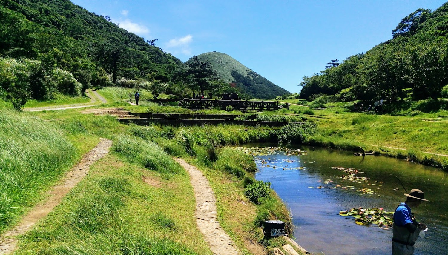 冷水坑｜北部一日遊開車：探索陽明山與夜景秘境