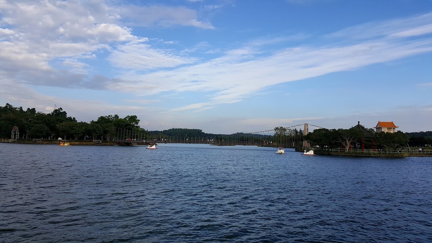 虎頭埤阿勃勒花季必去景點與活動介紹