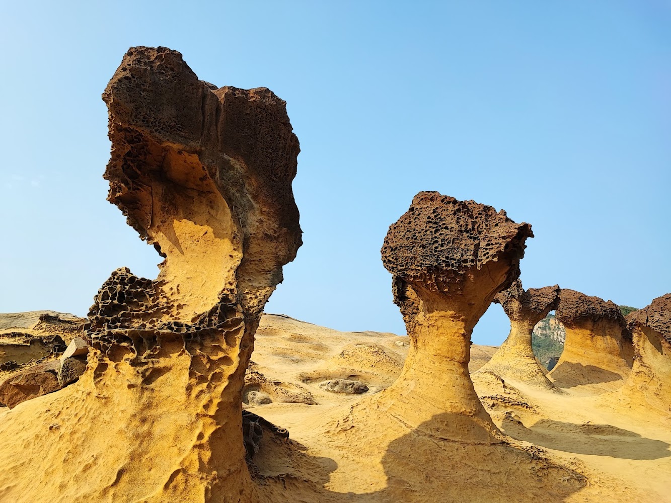 女王頭、燈塔、海洋世界一次玩！野柳地質公園人氣景點全攻略（含交通與拍照建議）