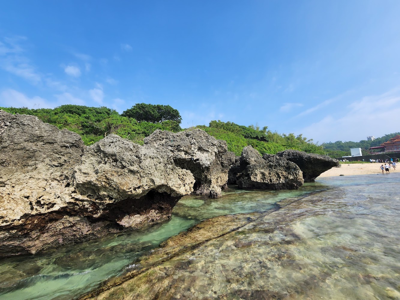 小琉球杉福潮間帶完整攻略｜觀光保育費、導覽資訊、注意事項一次看懂！