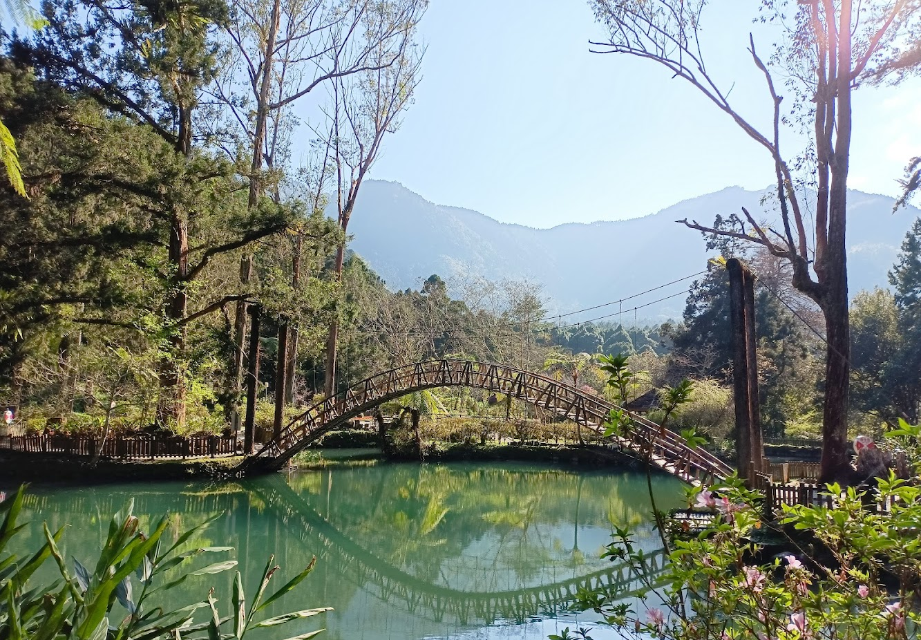 大學池｜溪頭風景區：探索七大自然奇觀，享受健康的森林浴