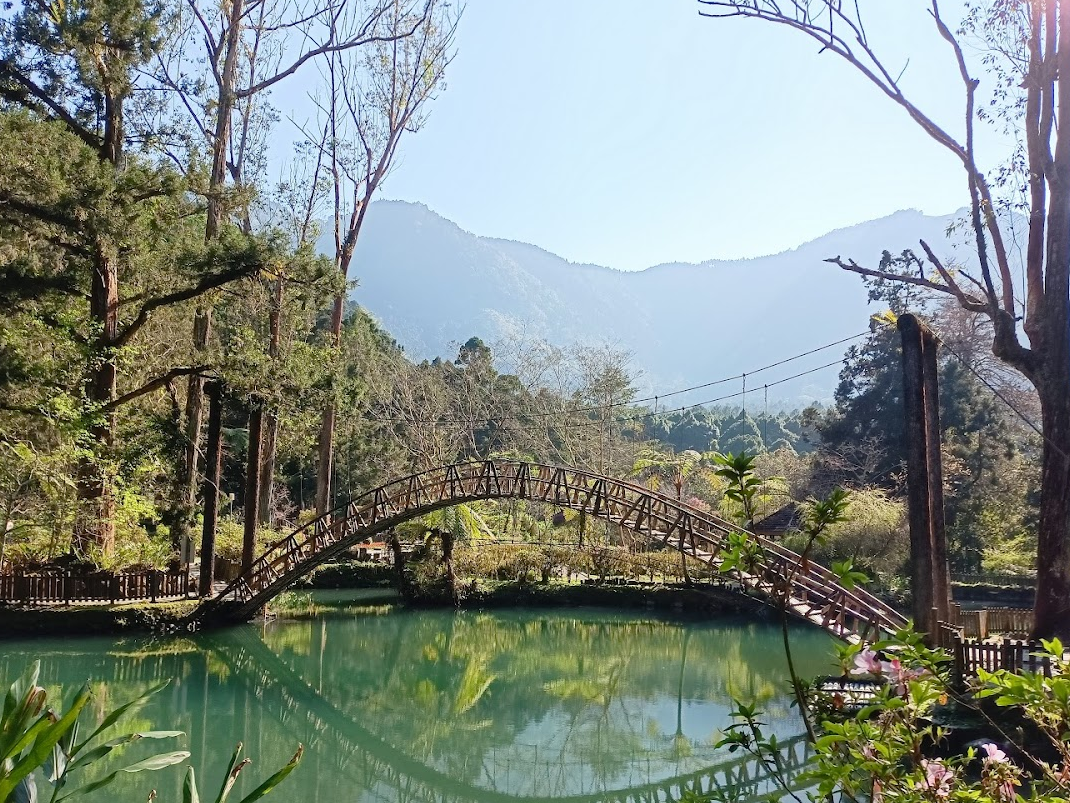 溪頭自然教育園區|溪頭風景區:探索七大自然奇觀,享受健康的森林浴