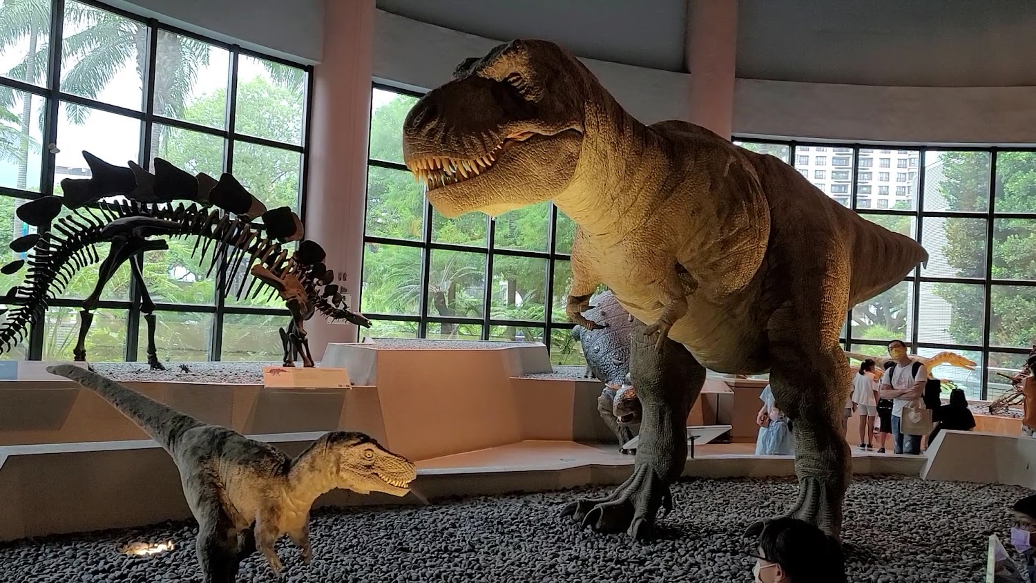 國立自然科學博物館最新消息｜探索台中自然科學博物館的無限樂趣｜家庭遊玩不可錯過的景點