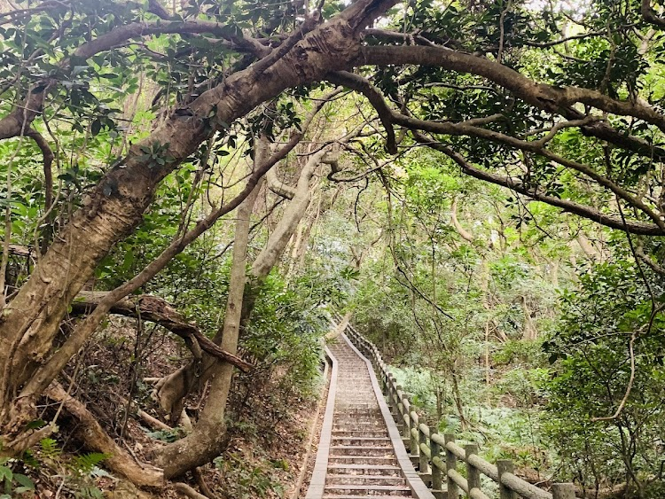 餐廳｜新竹登山步道：探索十八尖山東峰的魅力與步道攻略